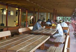 Jamison Hotel - Accommodation Broome 0