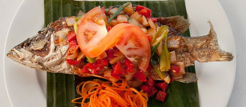 The Thai And I - Accommodation Broome 2