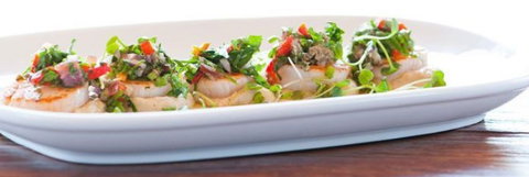 La Repubblica - Accommodation Broome 0