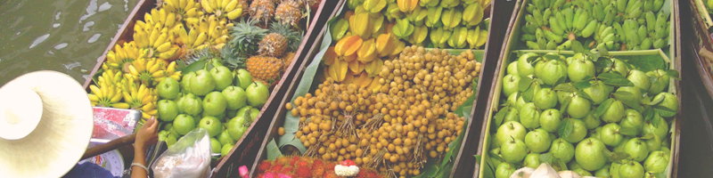 Green Point NSW Accommodation Broome