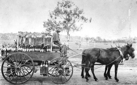 A Tale Of Two Villages - An Exhibition - Accommodation Broome 1