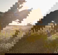 Balonne Cutting Horse Futurity - Accommodation Broome