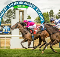 Bathurst Cup - Accommodation Broome