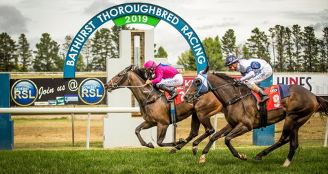 Bathurst Cup - Accommodation Broome 0