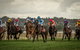 Bathurst Cup - thumb 1