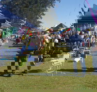 Casino Golf Club Markets - Accommodation Broome