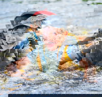 Cave Hill Creek Summer Camp - Accommodation Broome