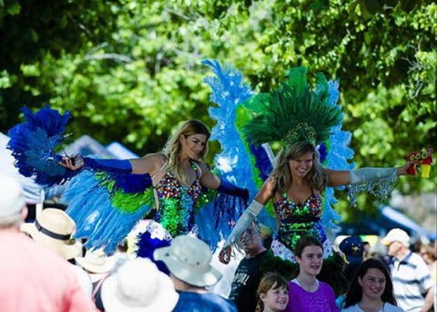 Family Fun Carnivale - Accommodation Broome 0