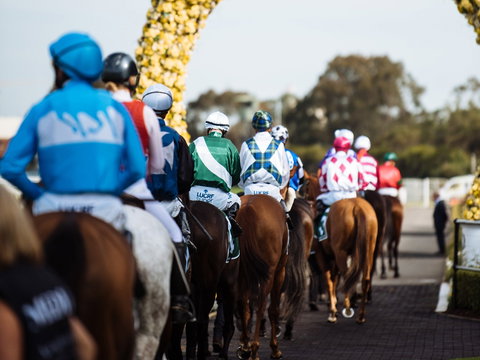 Golden Eagle Day - Accommodation Broome 1