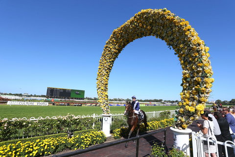 Golden Eagle Day - Accommodation Broome 2