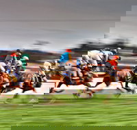 Grafton July Racing Carnival - Accommodation Broome