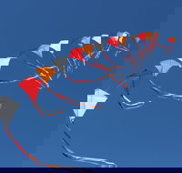 Harden Kite Festival - Accommodation Broome