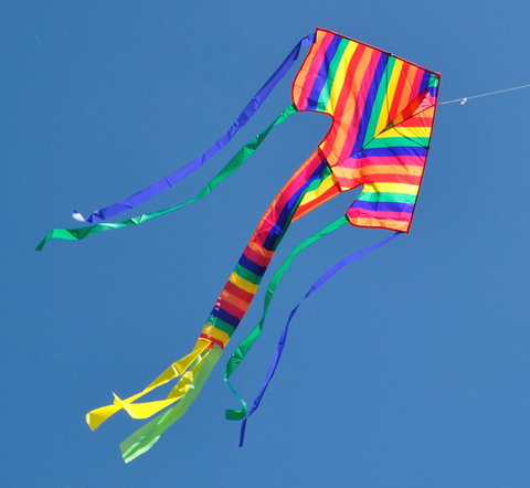 Harden Kite Festival - Accommodation Broome 1