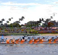 Jacaranda Dragon Boat Races - Accommodation Broome