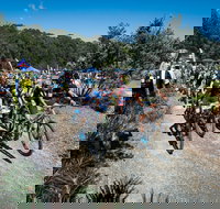 JetBlack Wild Wombat MTB Challenge - Accommodation Broome