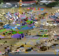 Millicent Agricultural and Horticultural Show