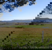 Milton Village Showground Markets - Accommodation Broome