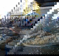 Narrabri Show - Accommodation Broome