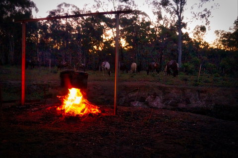 Night Horse Ride And Dinner - Accommodation Broome 2