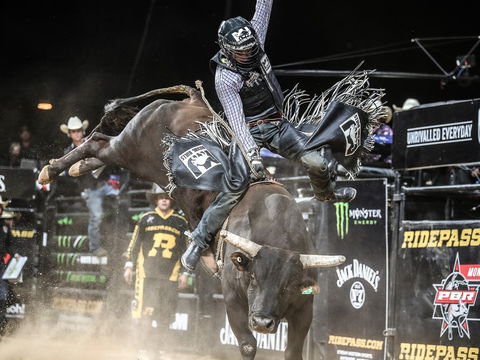 PBR Hawkesbury Stampede - Accommodation Broome 0