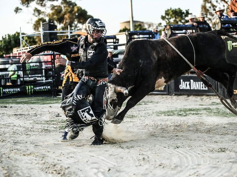 PBR Hawkesbury Stampede - Accommodation Broome 2