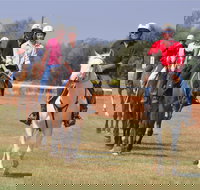 Pride of the West Races 2020 - Accommodation Broome