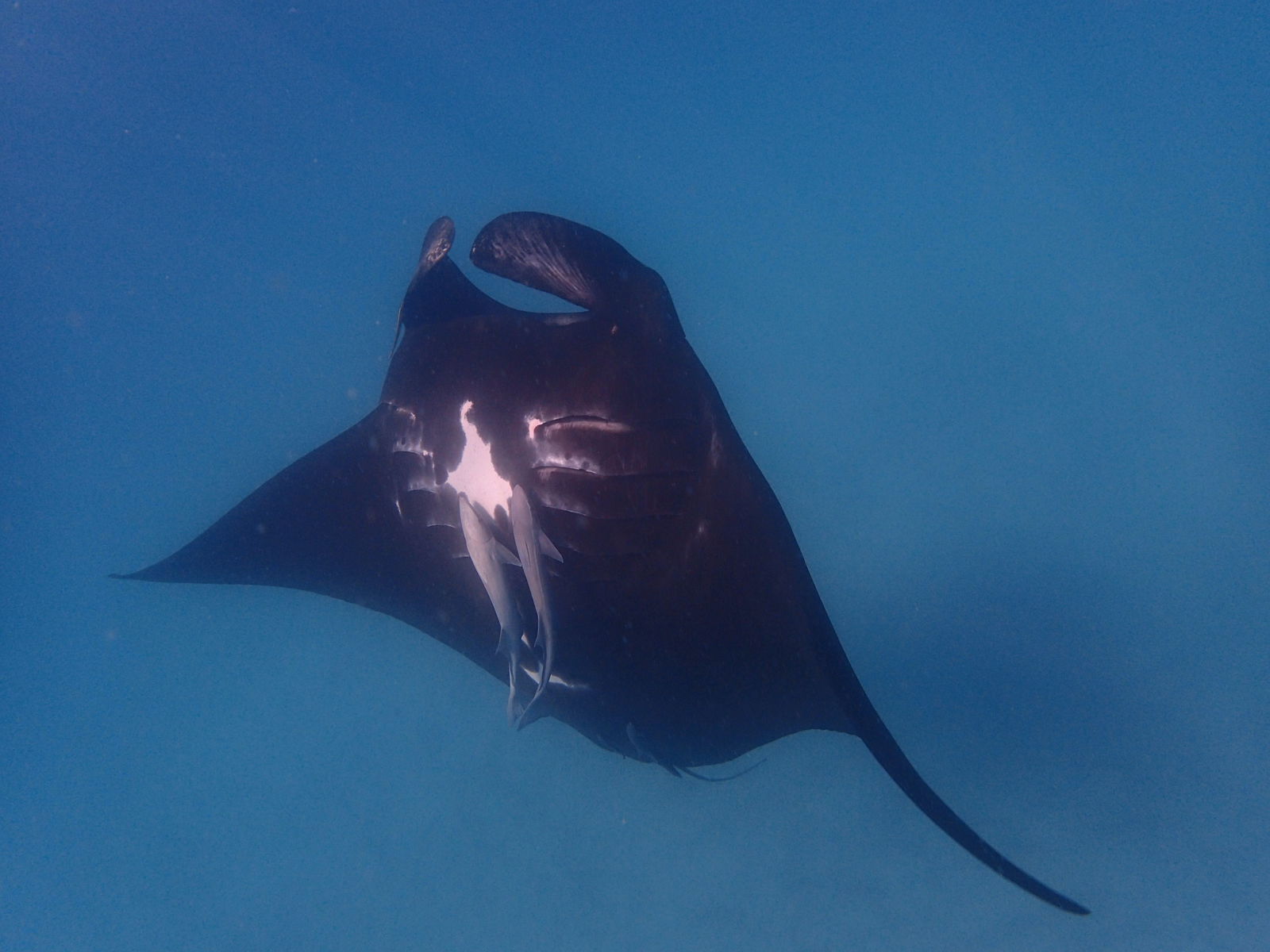 Talisker WA Accommodation Broome