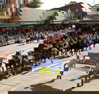 Scone Horse Festival - Accommodation Broome