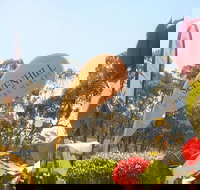 Sevenhill Producers Market - Accommodation Broome