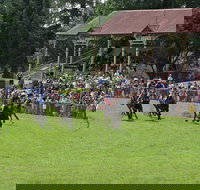 Tumut Derby Day - Accommodation Broome