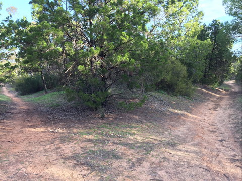 Victoria Park Moonta Monthly Walks - Accommodation Broome 1