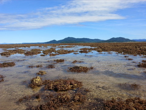 Walk To The Reef - Accommodation Broome 0