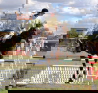 Wee Waa Show - Accommodation Broome