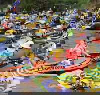 Australia Day Celebrations Gunnedah - Accommodation Broome