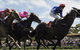 Batemans Bay Cup - thumb 0