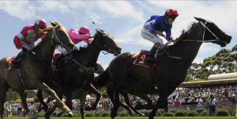 Batemans Bay Cup - Accommodation Broome 0