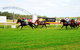 Batemans Bay Cup - thumb 2