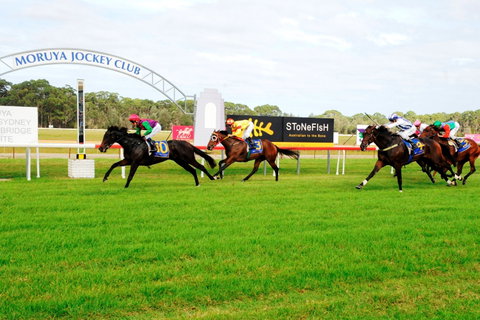 Batemans Bay Cup - Accommodation Broome 2