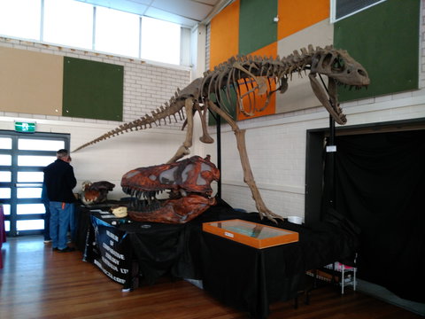 Carlingford Gem And Mineral Expo - Accommodation Broome 1