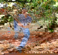 Cellar Dwellers Wine Dinner - Accommodation Broome