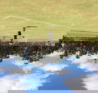 Charlton Lawn Tennis Club Annual Tournament