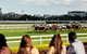 Cup Day - thumb 1