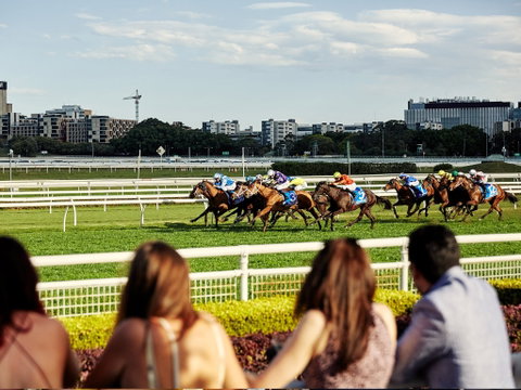 Cup Day - Accommodation Broome 1