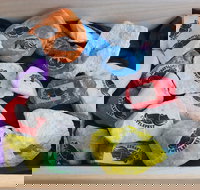 Cuttle-Rock Challenge - CUTTLEFEST 2020 - Whyalla - Accommodation Broome