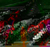 Dinomania - Postponed - Accommodation Broome