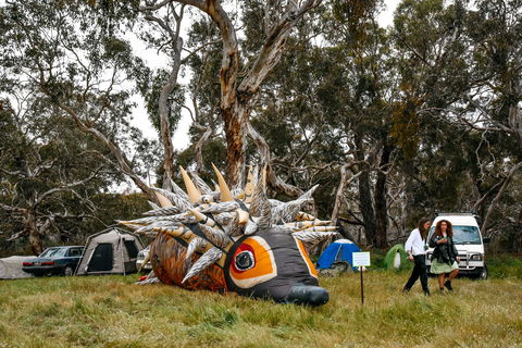 Field Good Festival - Accommodation Broome 2