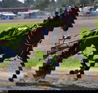 Forbes Show - Accommodation Broome