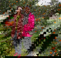 Fruit Taste Adventure Tours - Accommodation Broome