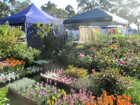 Gippsland Garden And Home Expo-Drouin Lions Club - Accommodation Broome 1