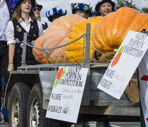 Goomeri Pumpkin Festival - Accommodation Broome 2